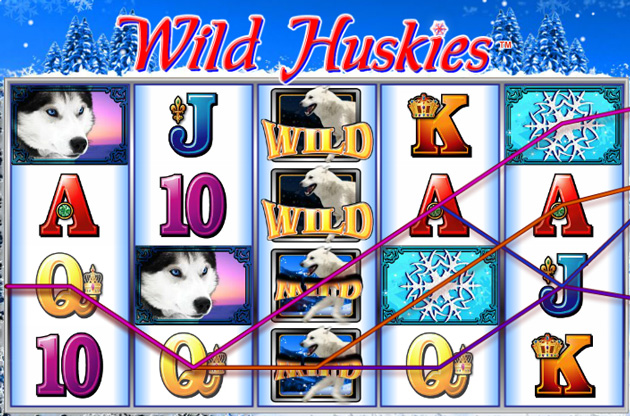 Review of the free play Wild Huskies Online Pokie