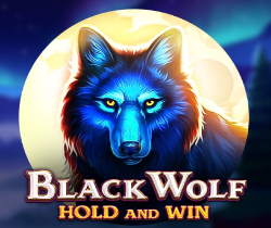 Black Wolf Hold And Win