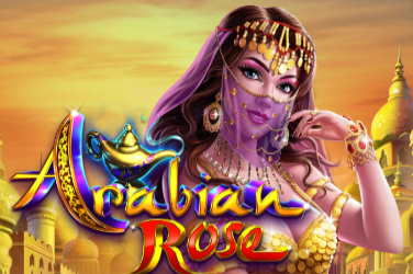 Arabian Rose